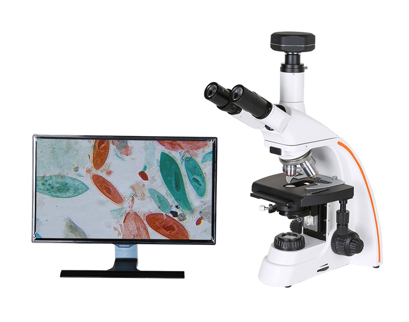 生物顯微鏡如何維護與保養？