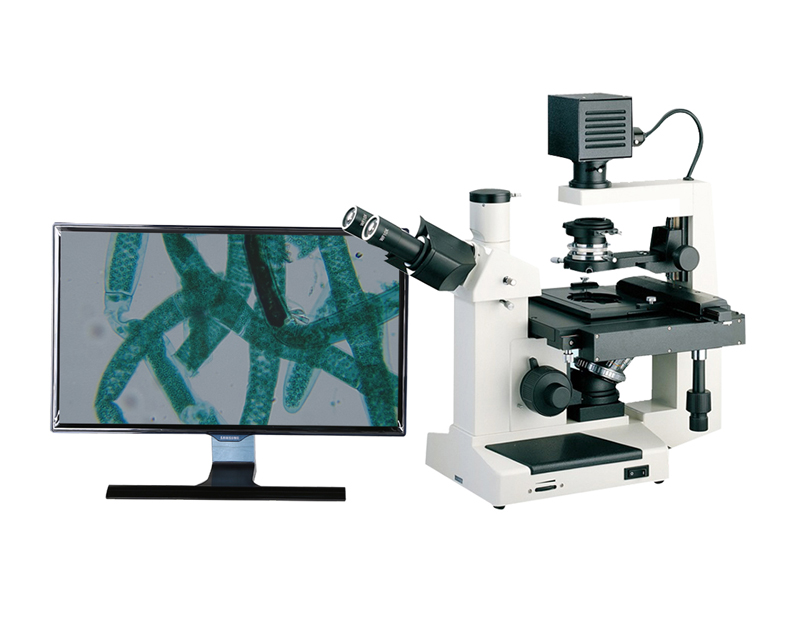 生物顯微鏡的分類有哪些？